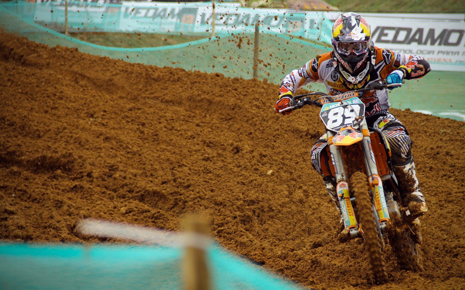 蝶泳名将再创佳绩，国际泳联世锦赛上演飞鱼